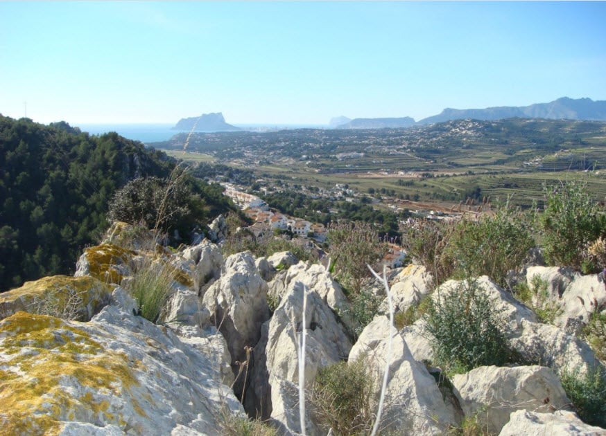 la Joya
