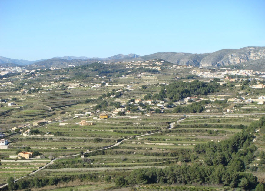 la Joya