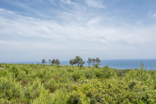 Cabo de Sant Antonio