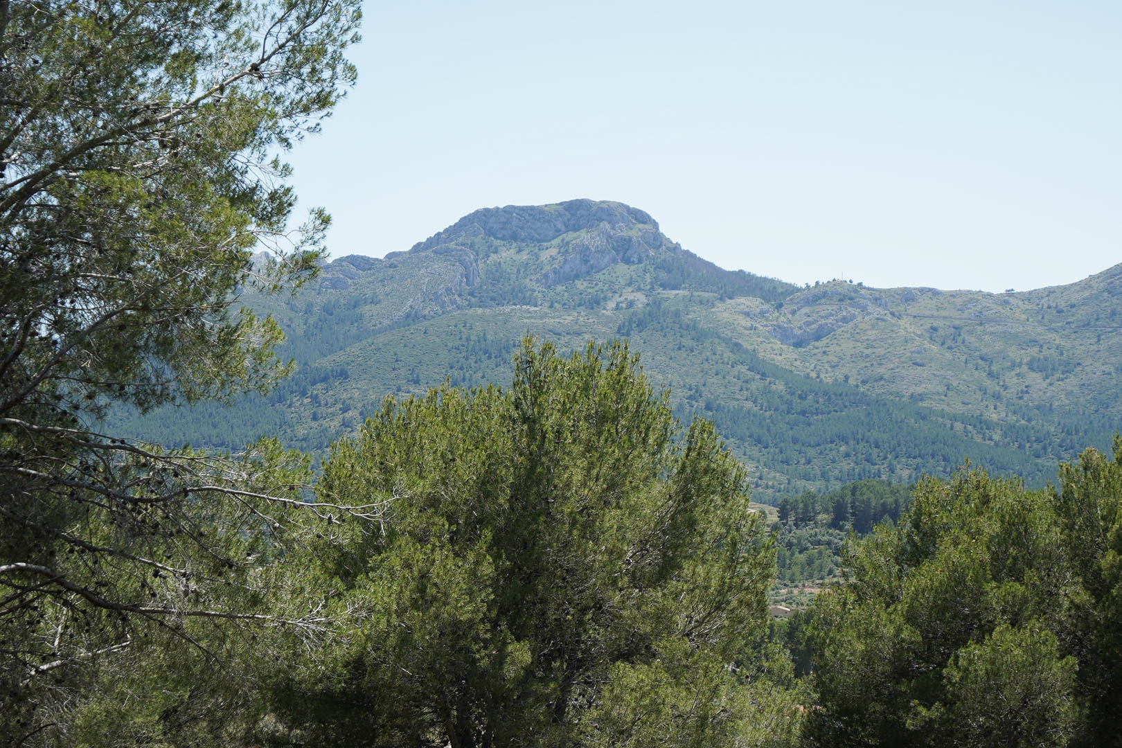 La Solana Gardens