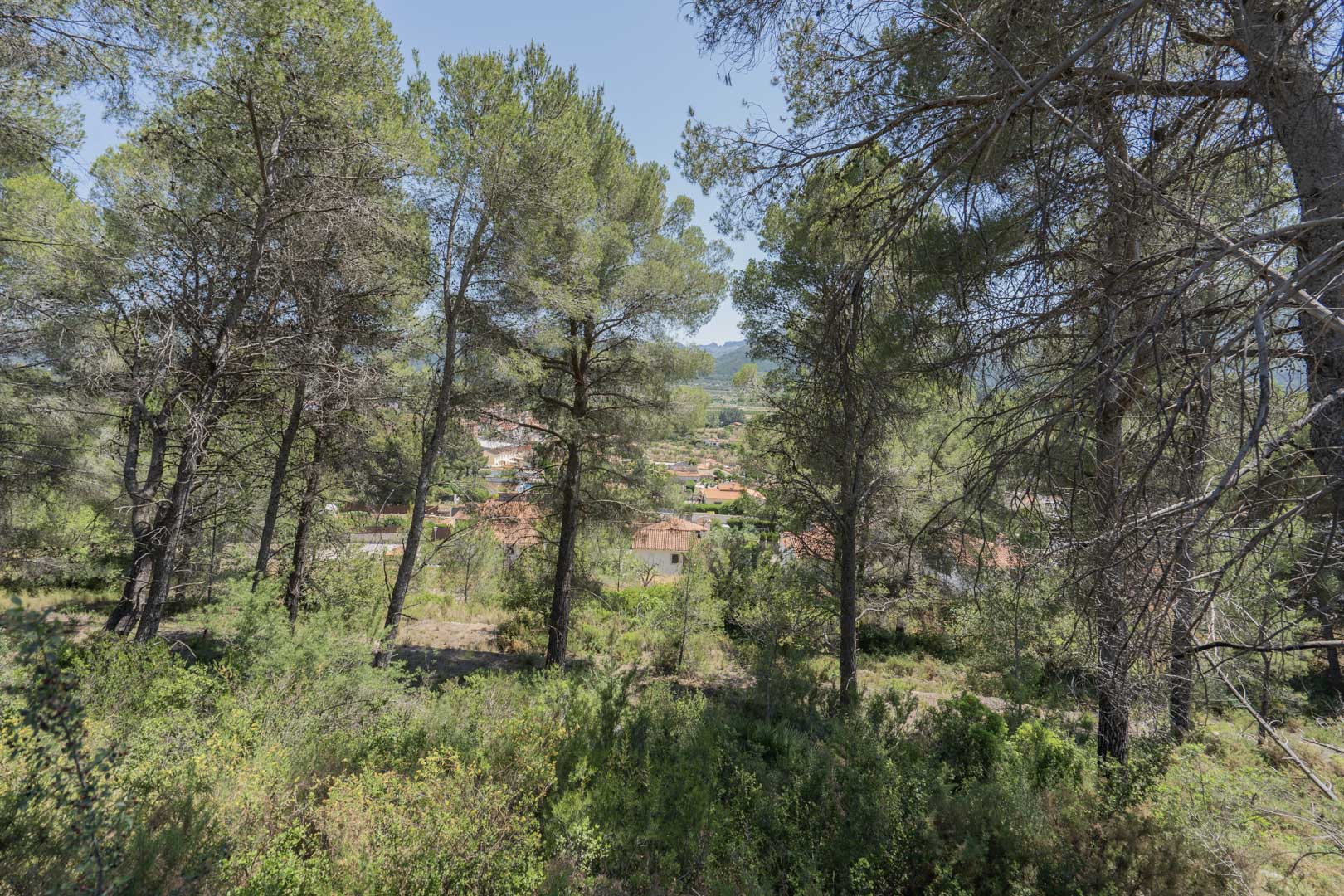 La Solana Gardens