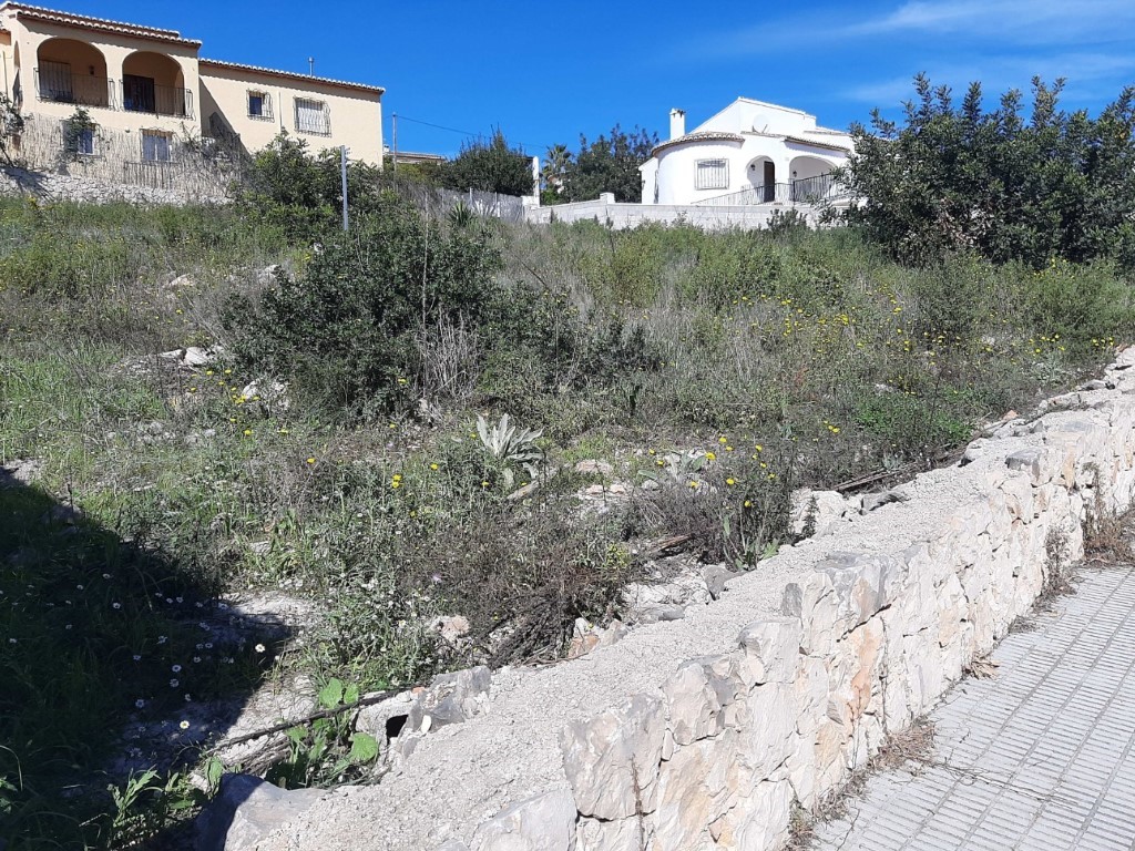 Alcalali