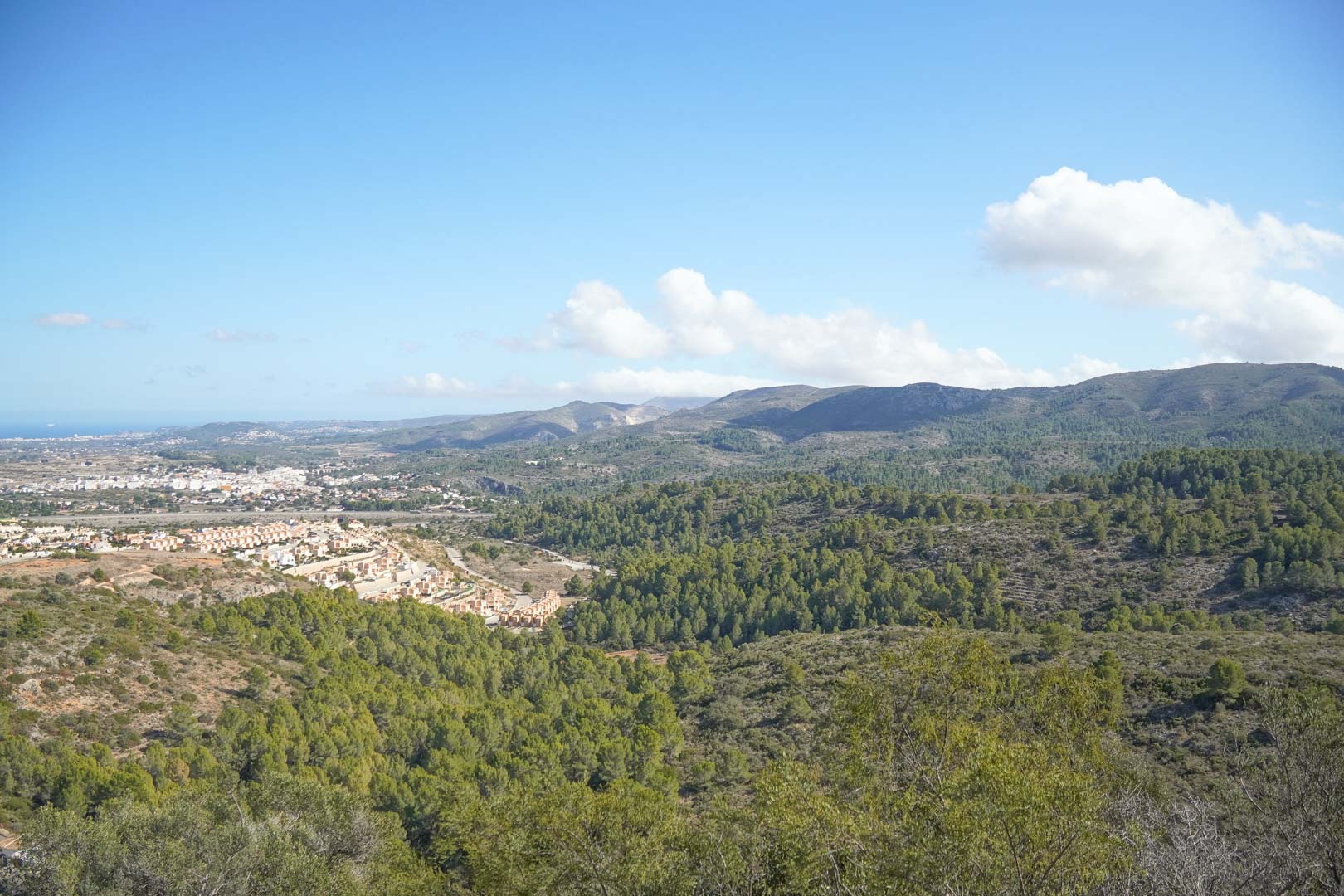 Pedreguer