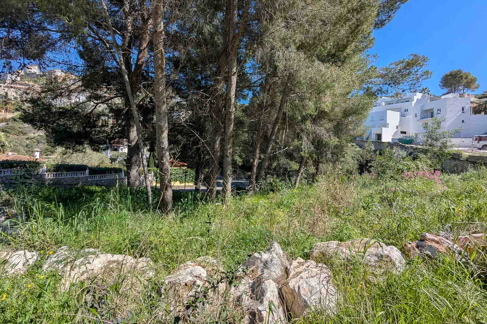 Monte Solana