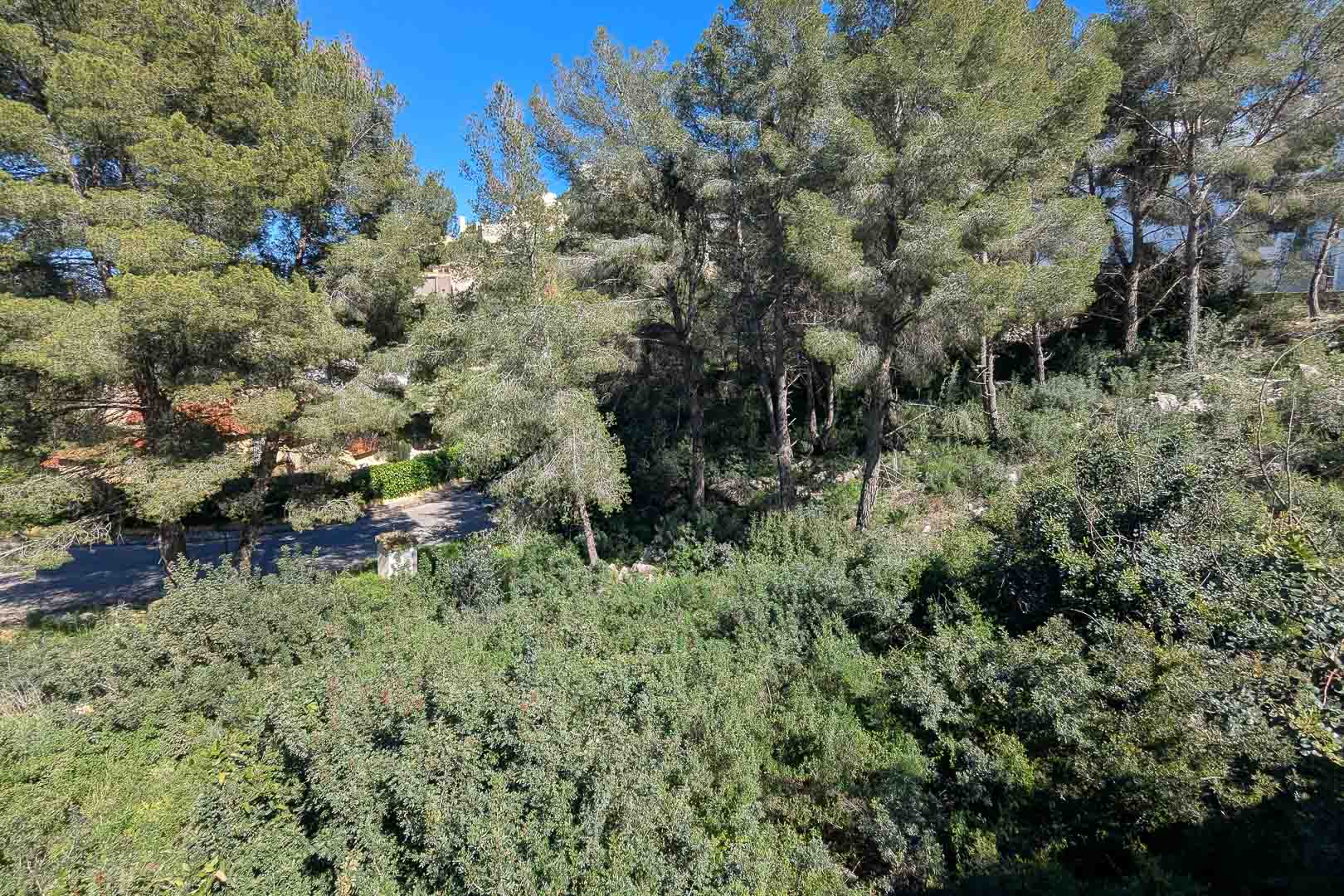 Monte Solana