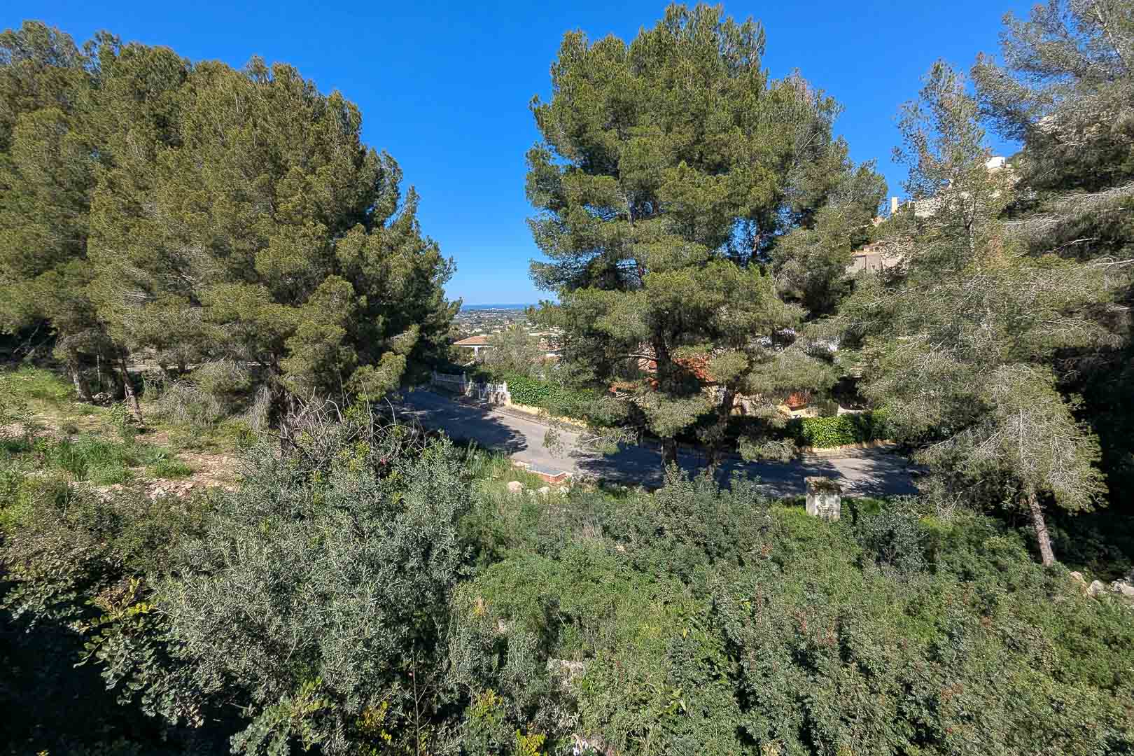 Monte Solana