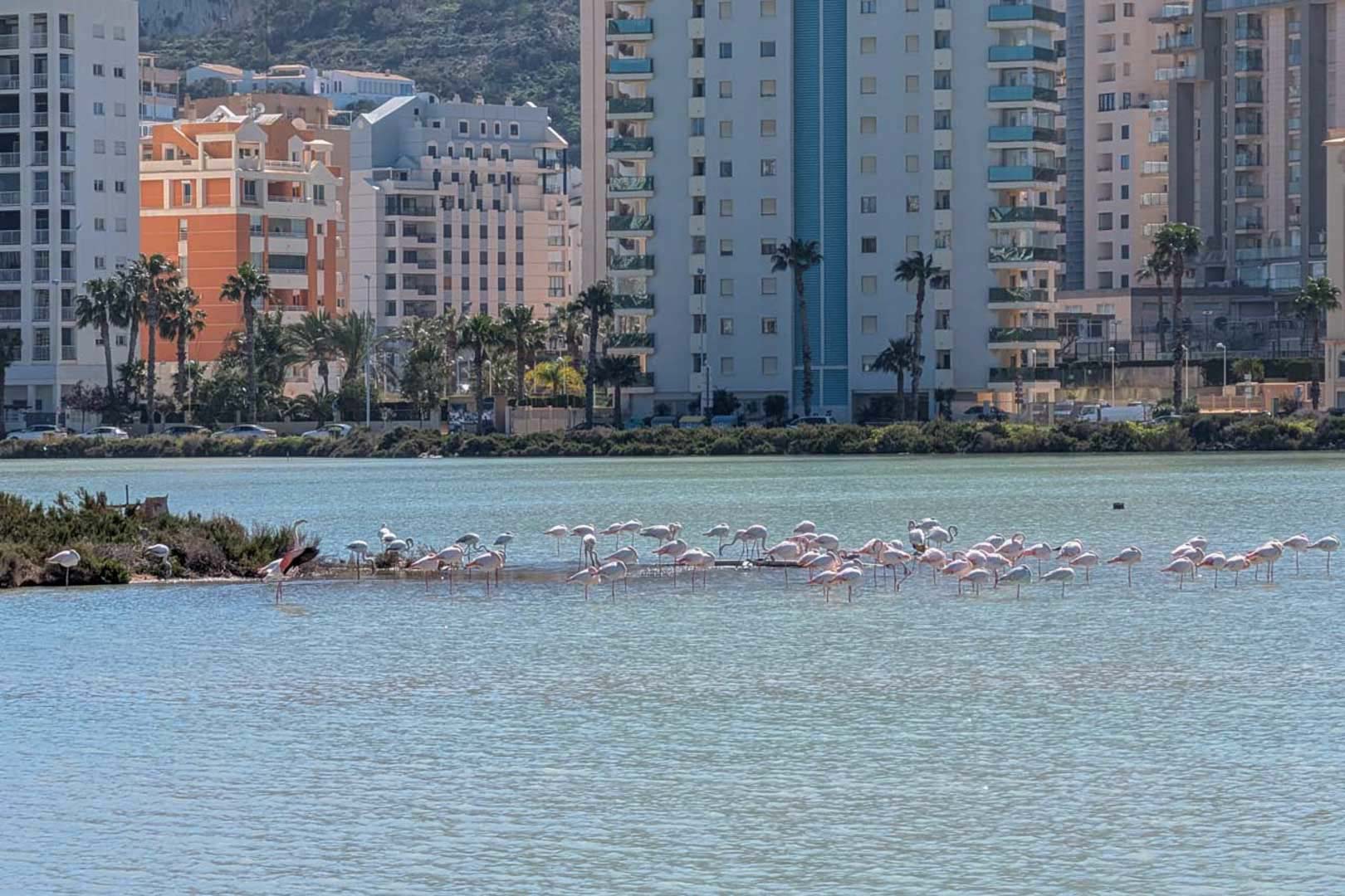 La Calalga