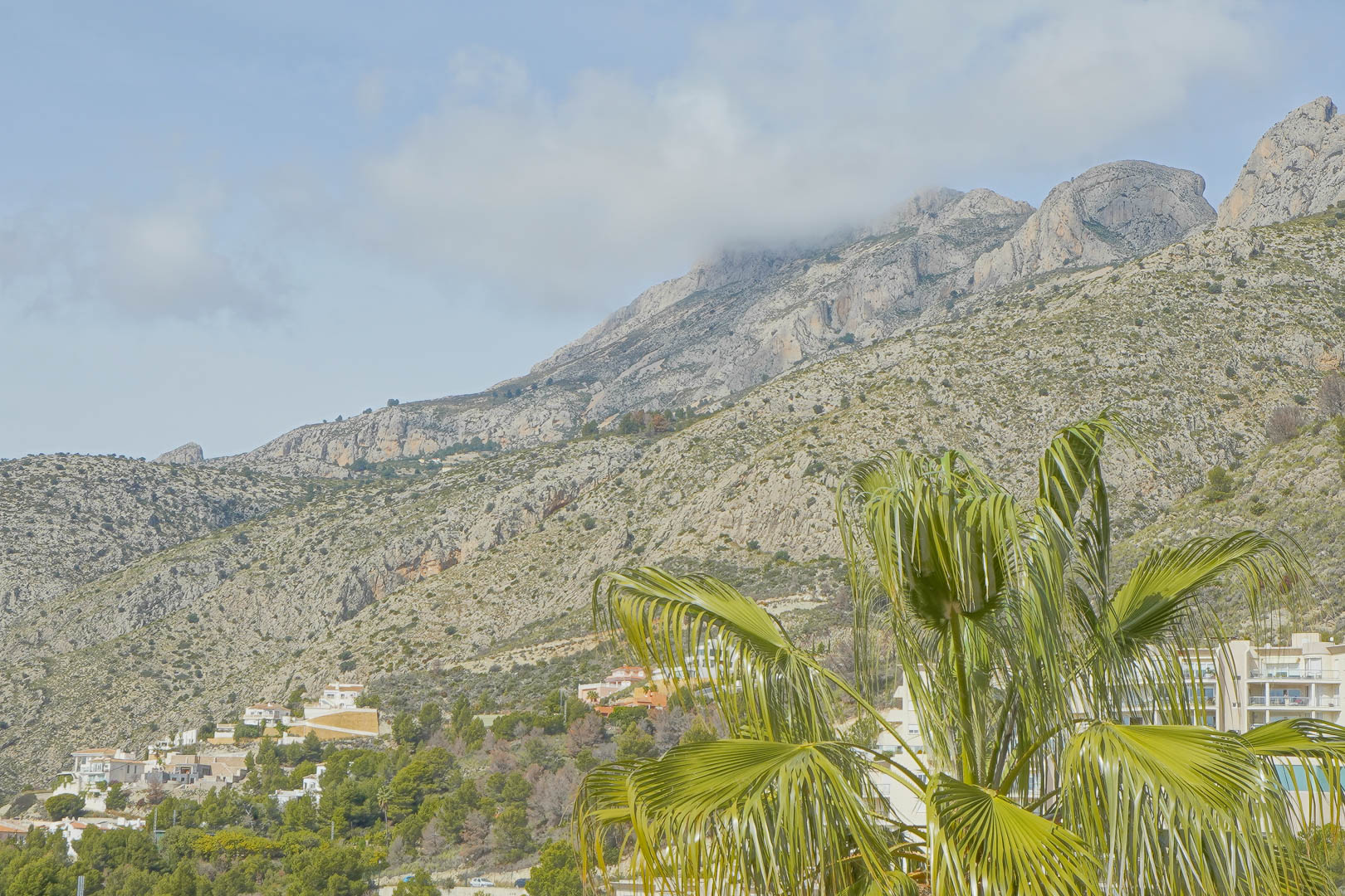 Alhama Springs