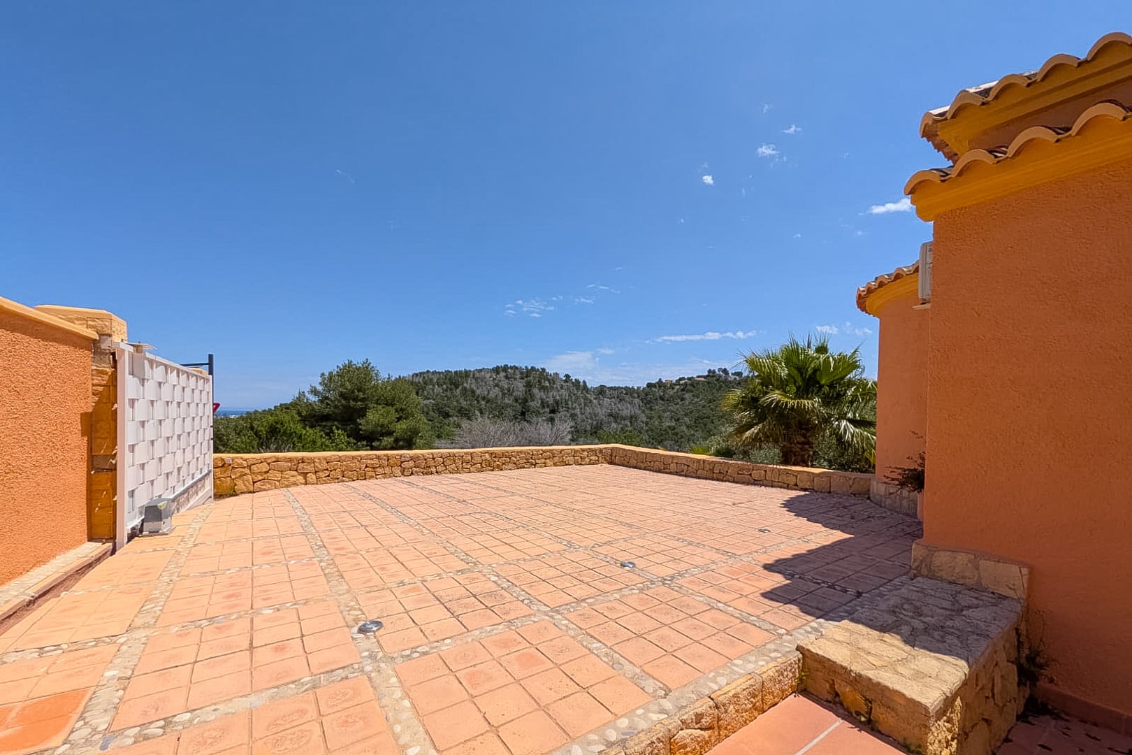 Javea