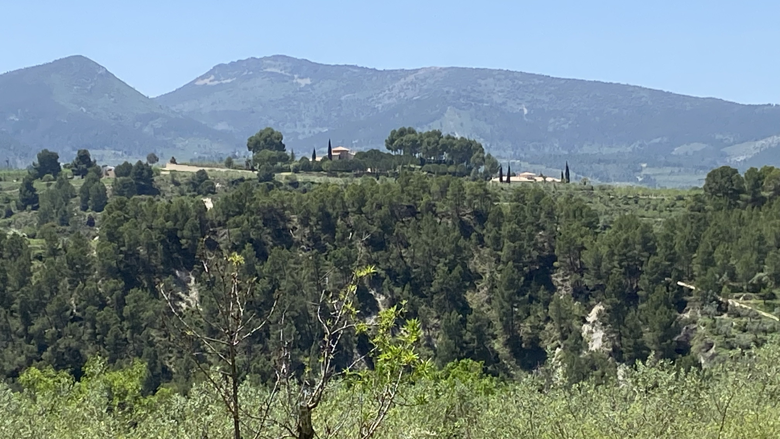 Penaguila