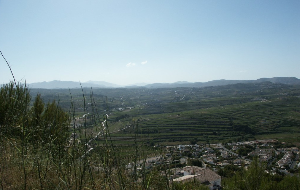 Golden Valley