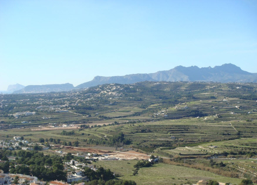 la Joya