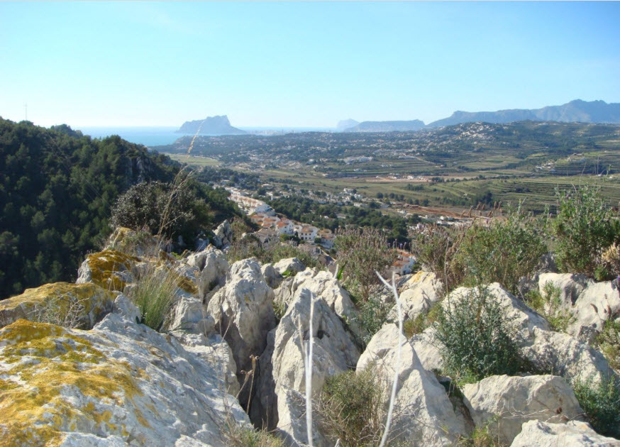 la Joya