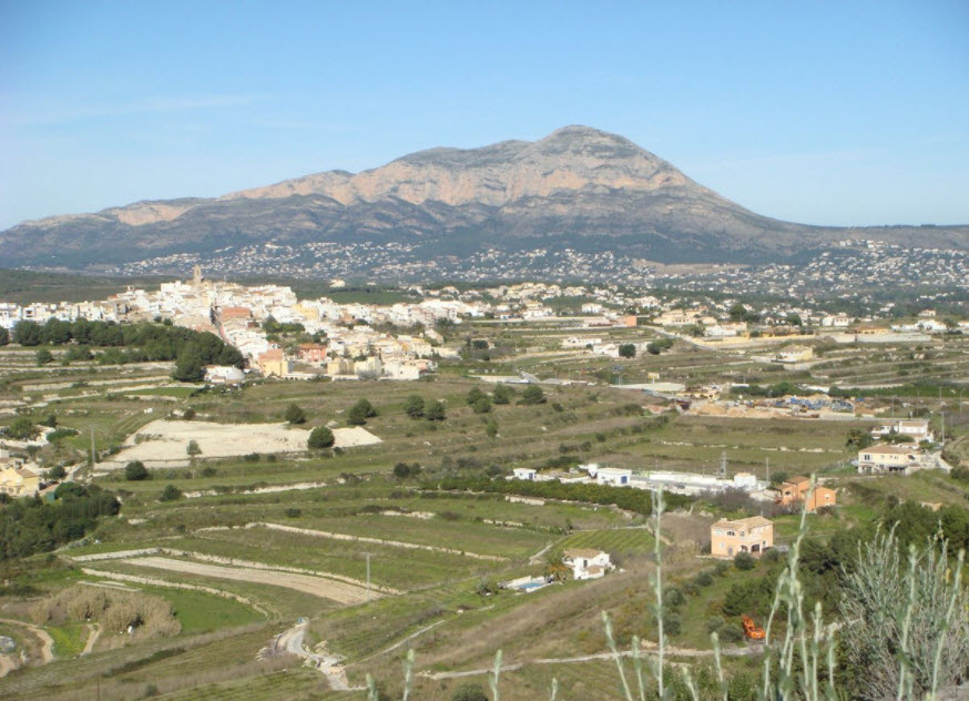la Joya