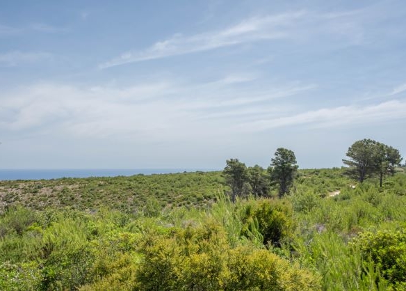 Cabo de Sant Antonio