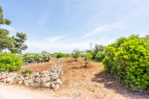 Cabo de Sant Antonio