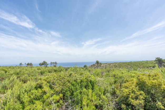 Cabo de Sant Antonio