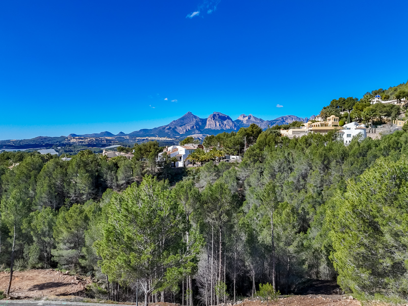 Altea