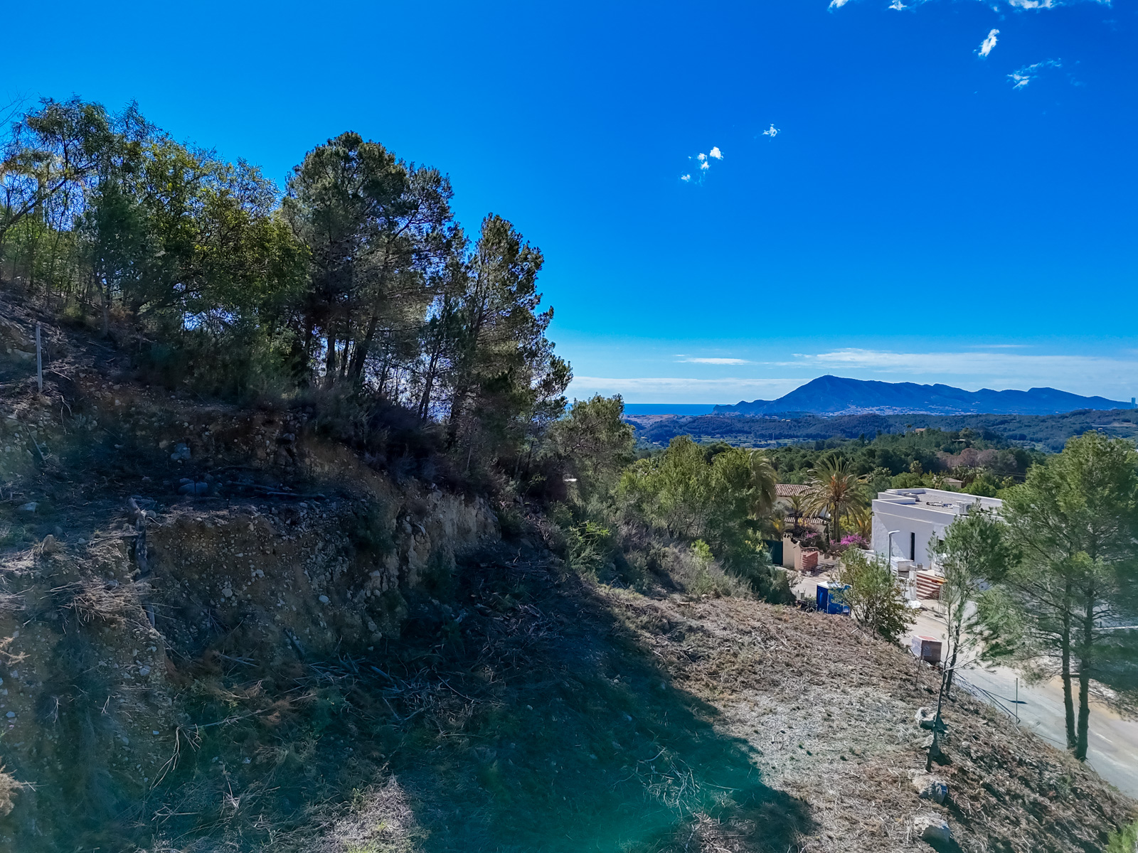 Altea