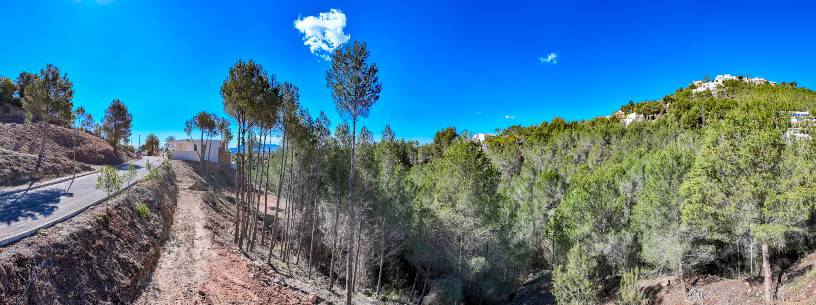 Altea