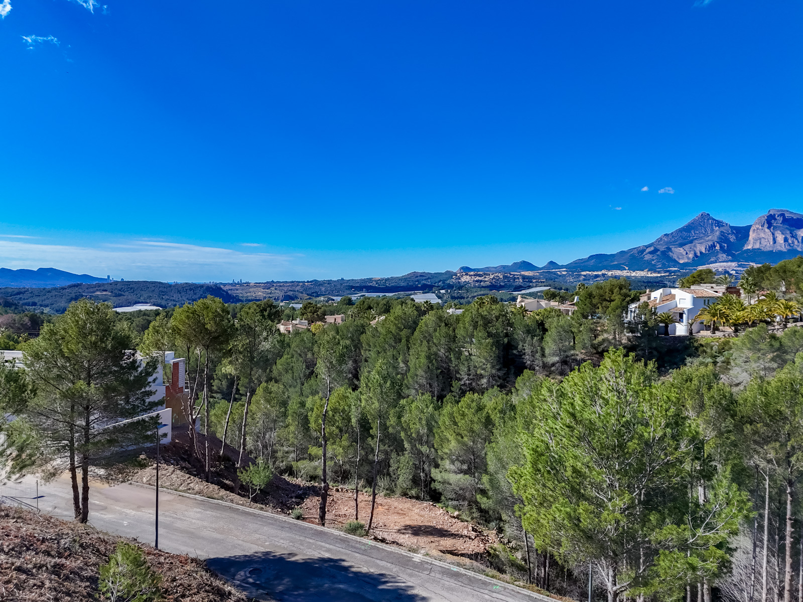 Altea