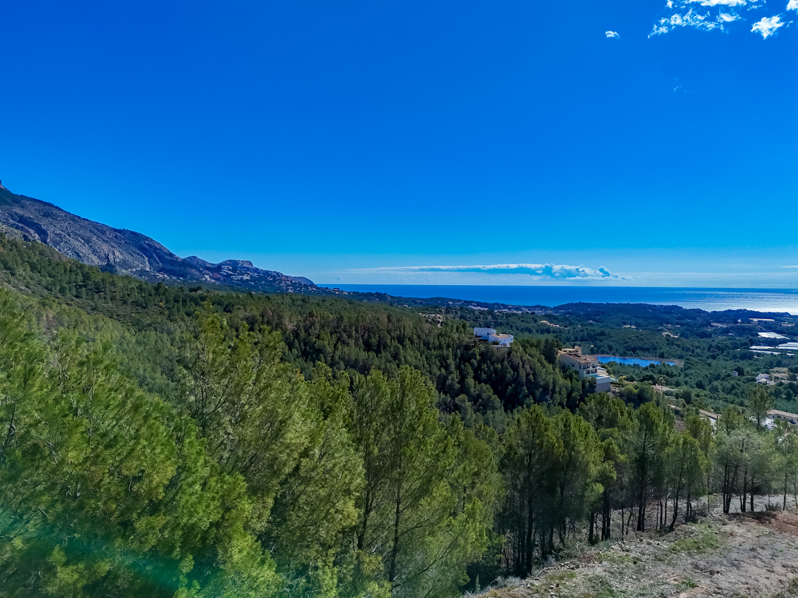 Altea