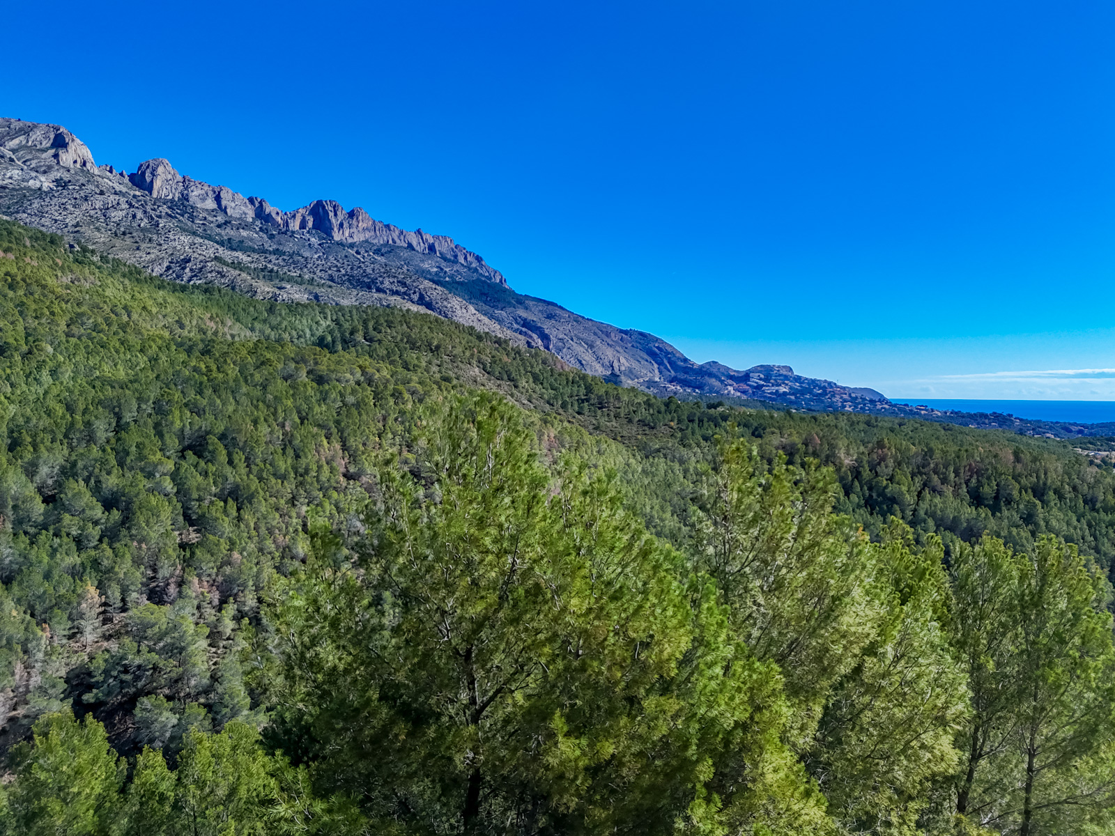 Altea