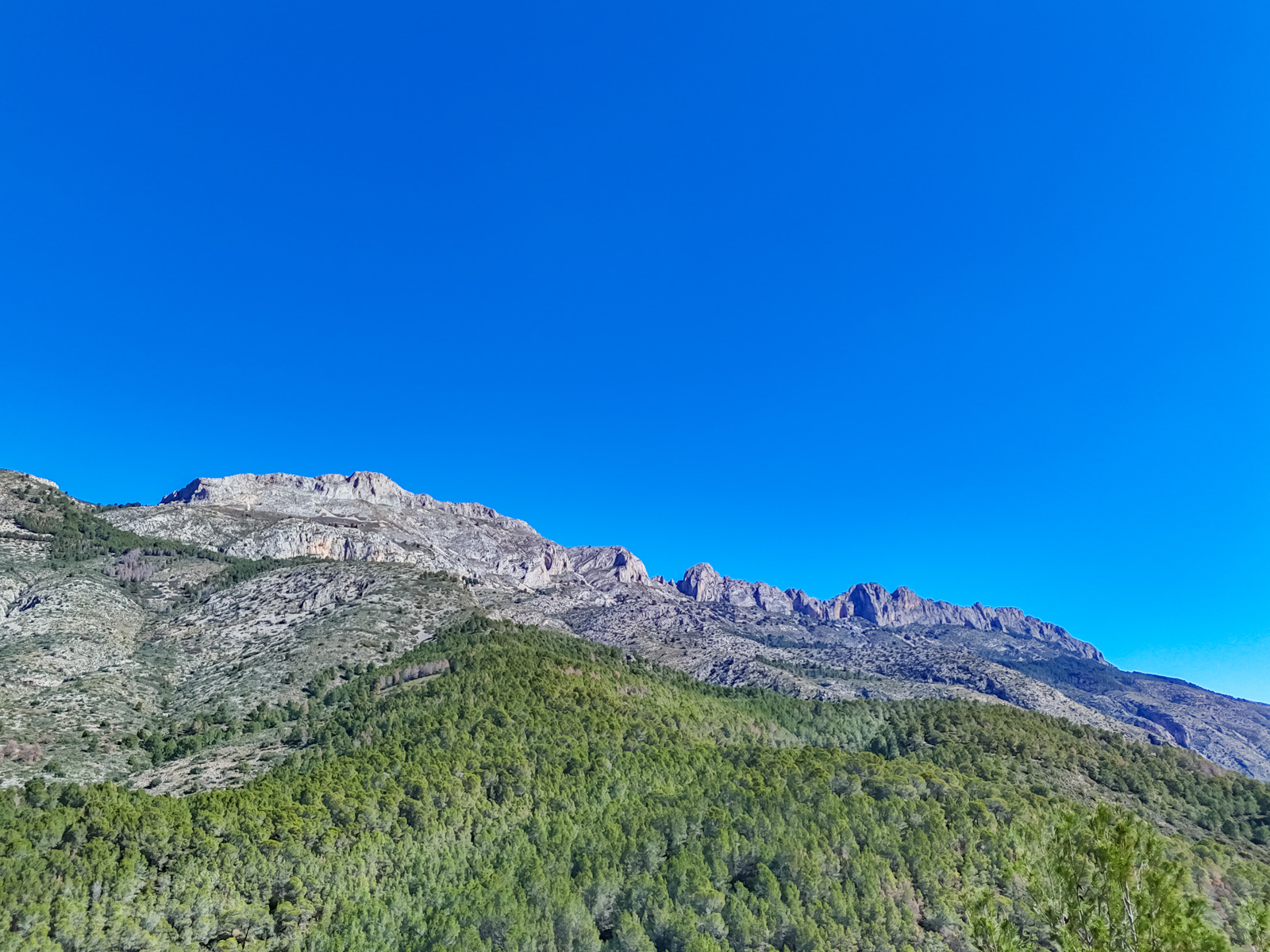 Altea