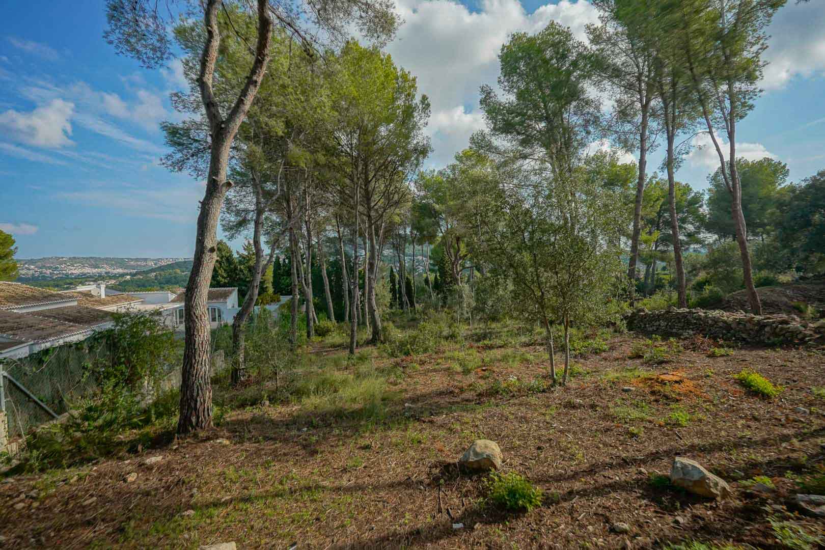 La Lluca