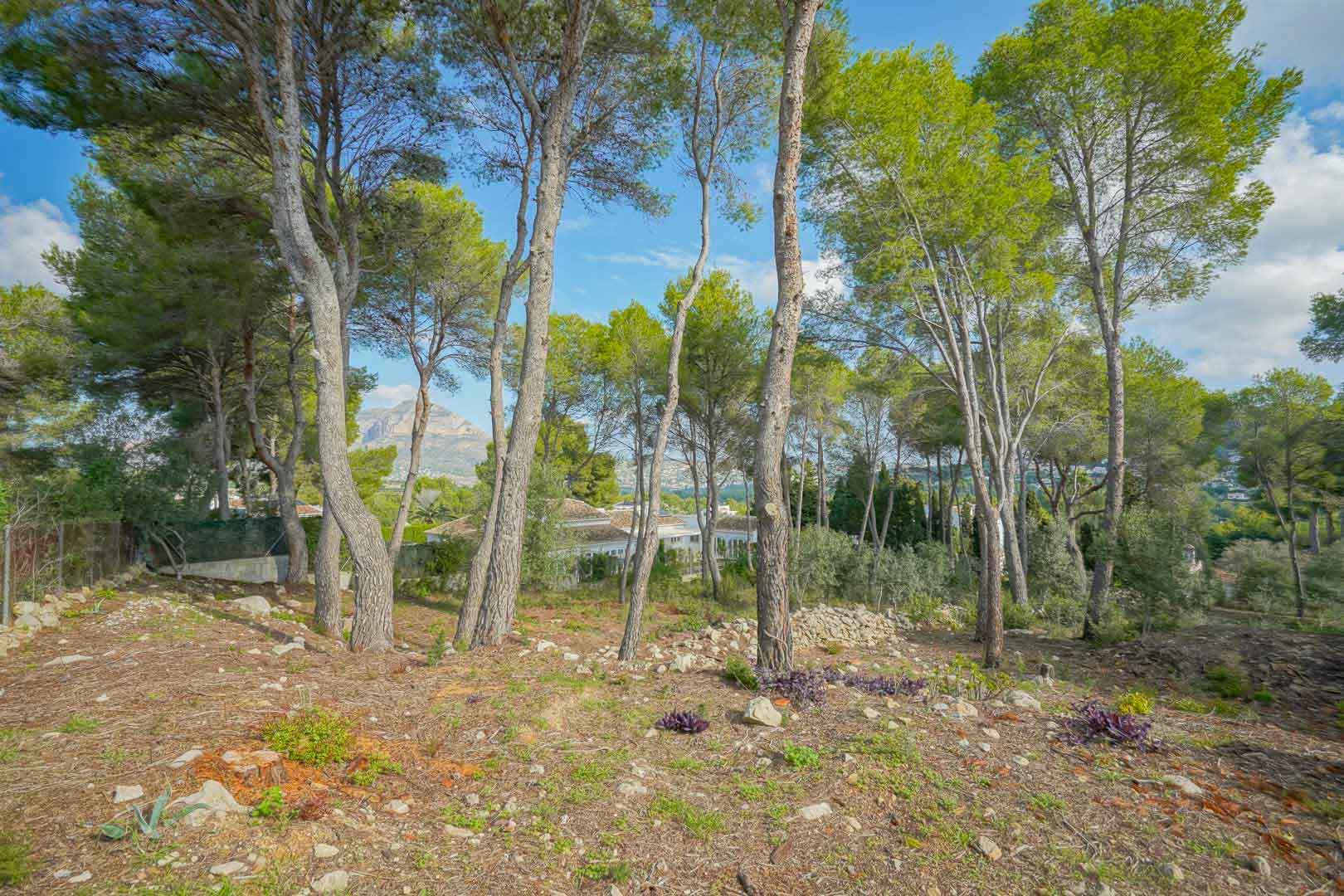 La Lluca