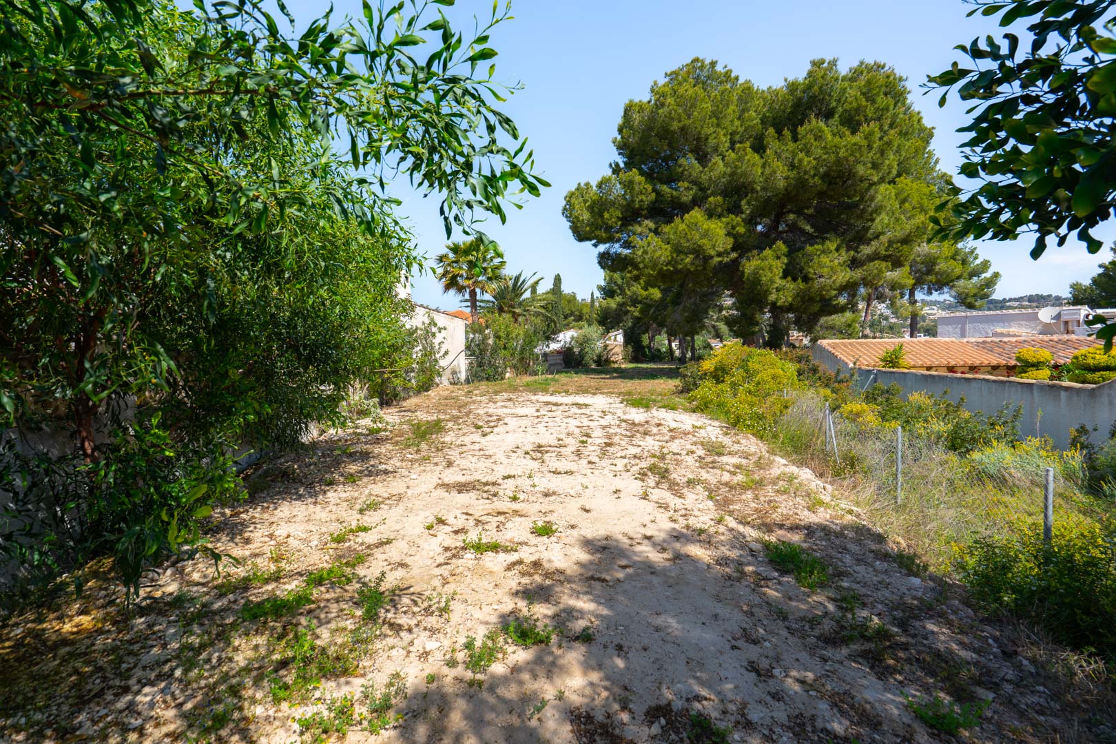 La Fustera