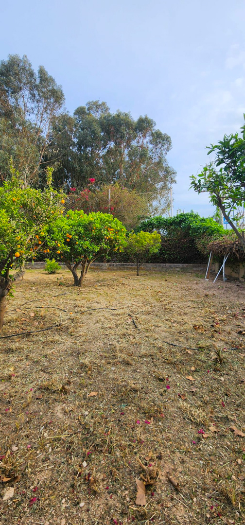Center