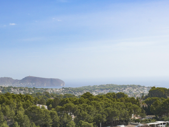La Fustera