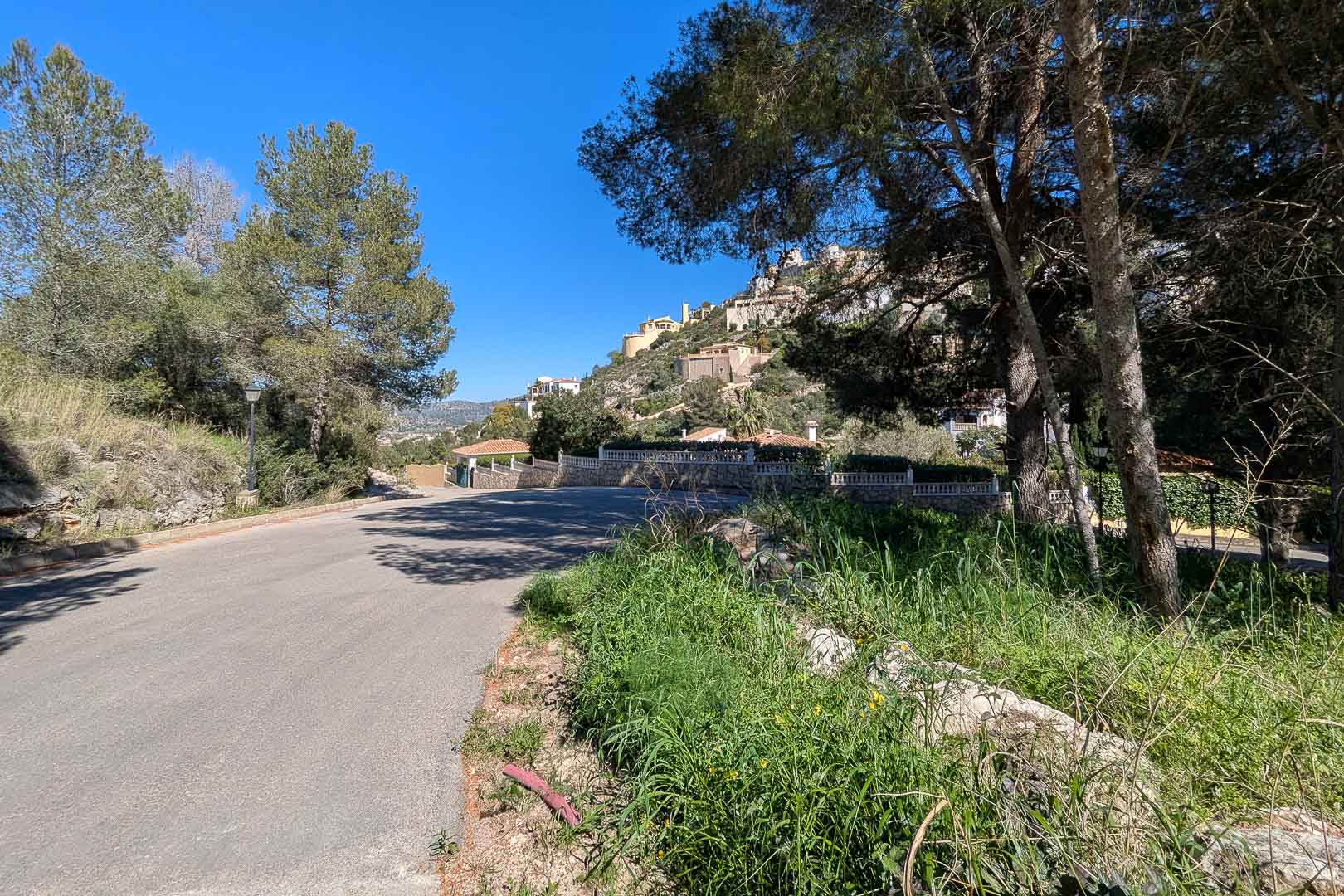 Monte Solana