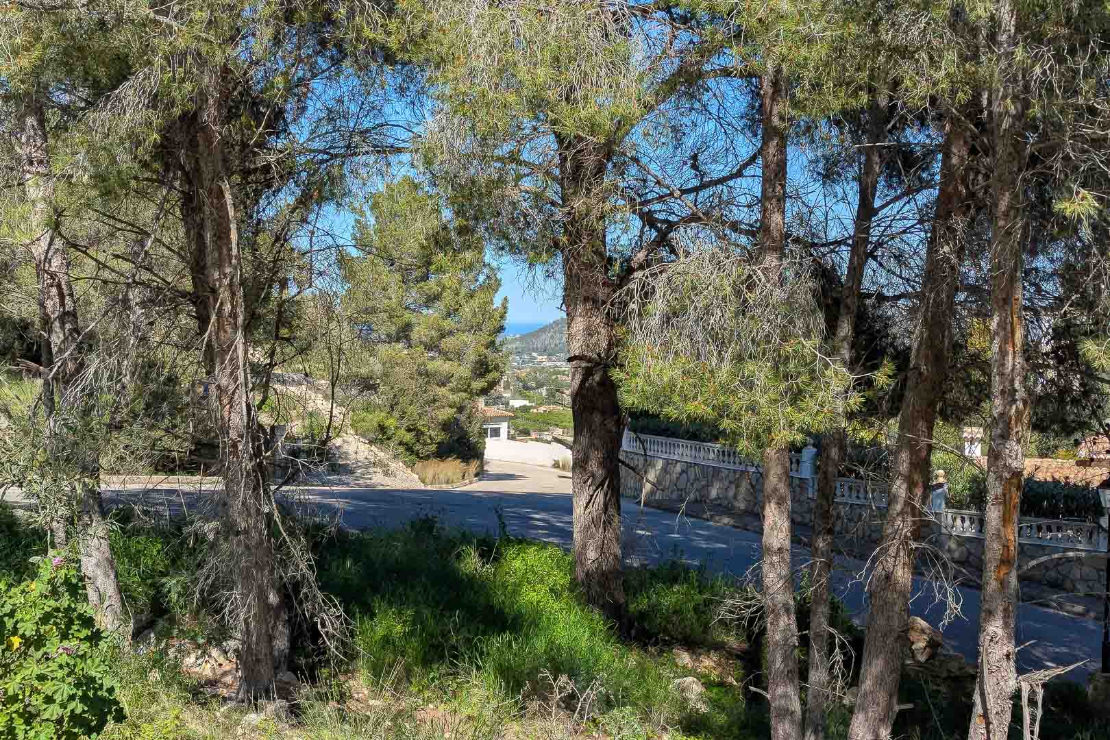 Monte Solana