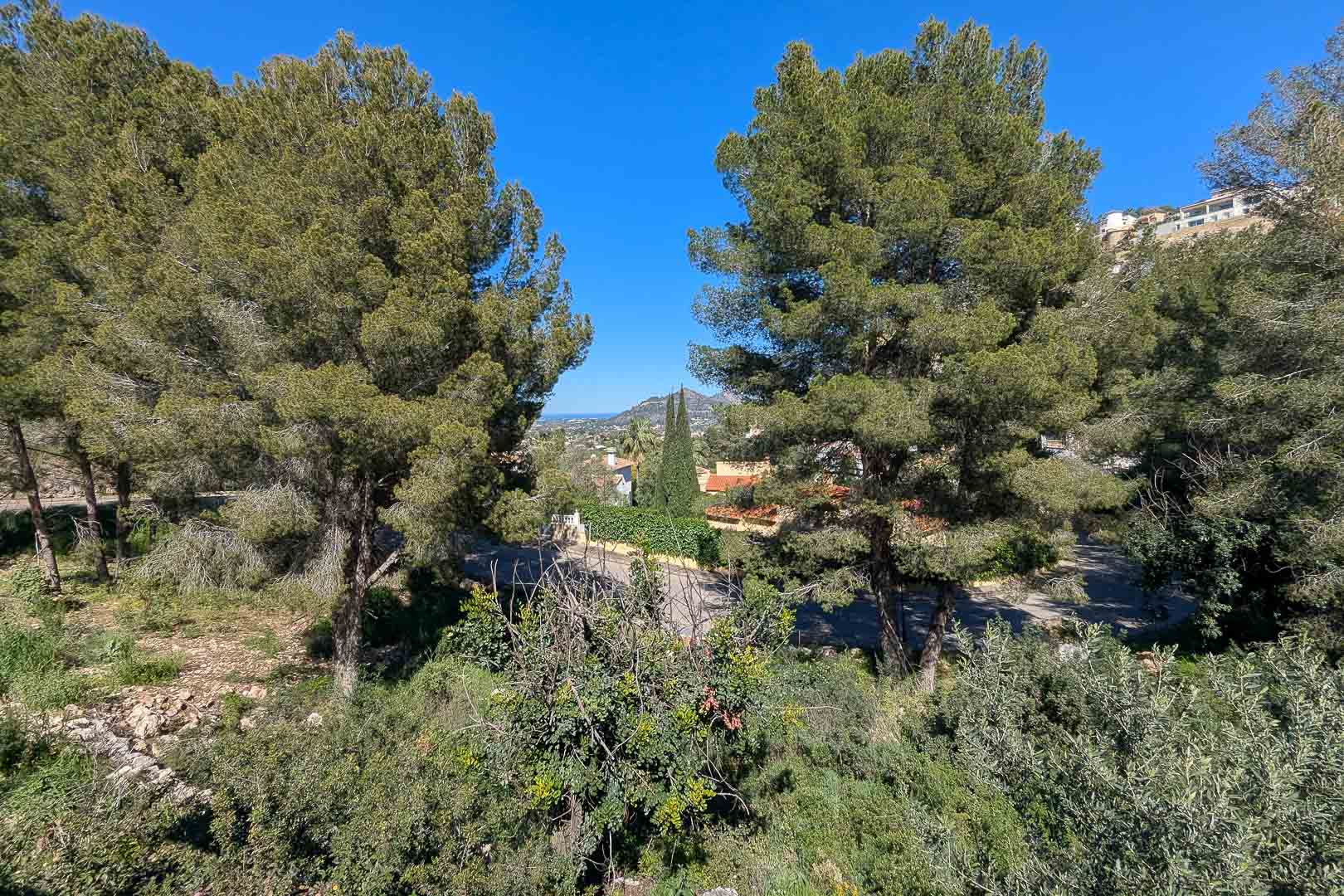 Monte Solana