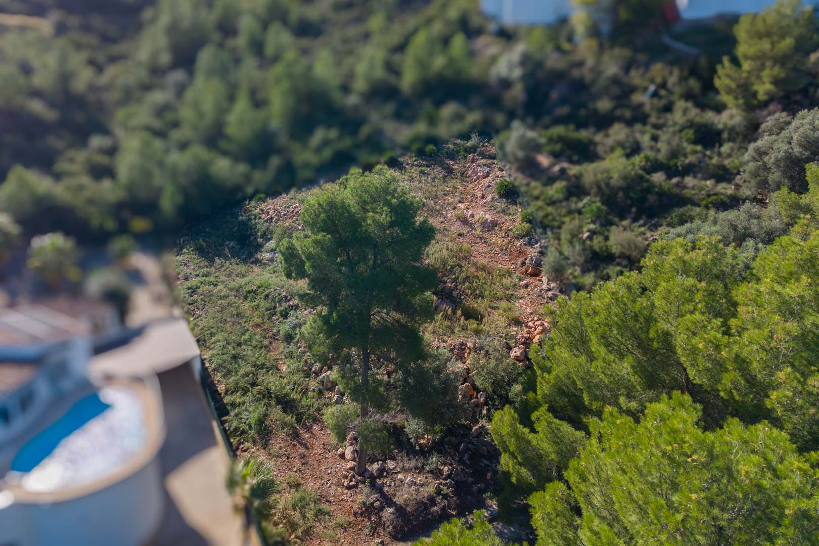 Monte Pego