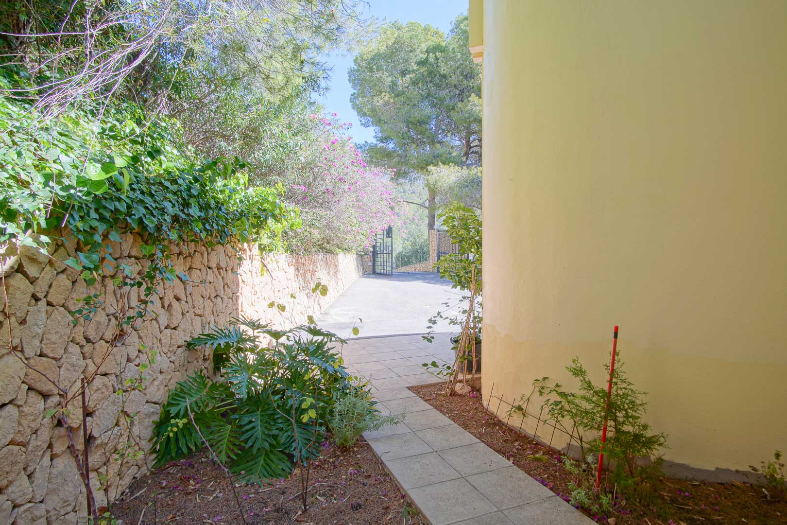 Santa Clara