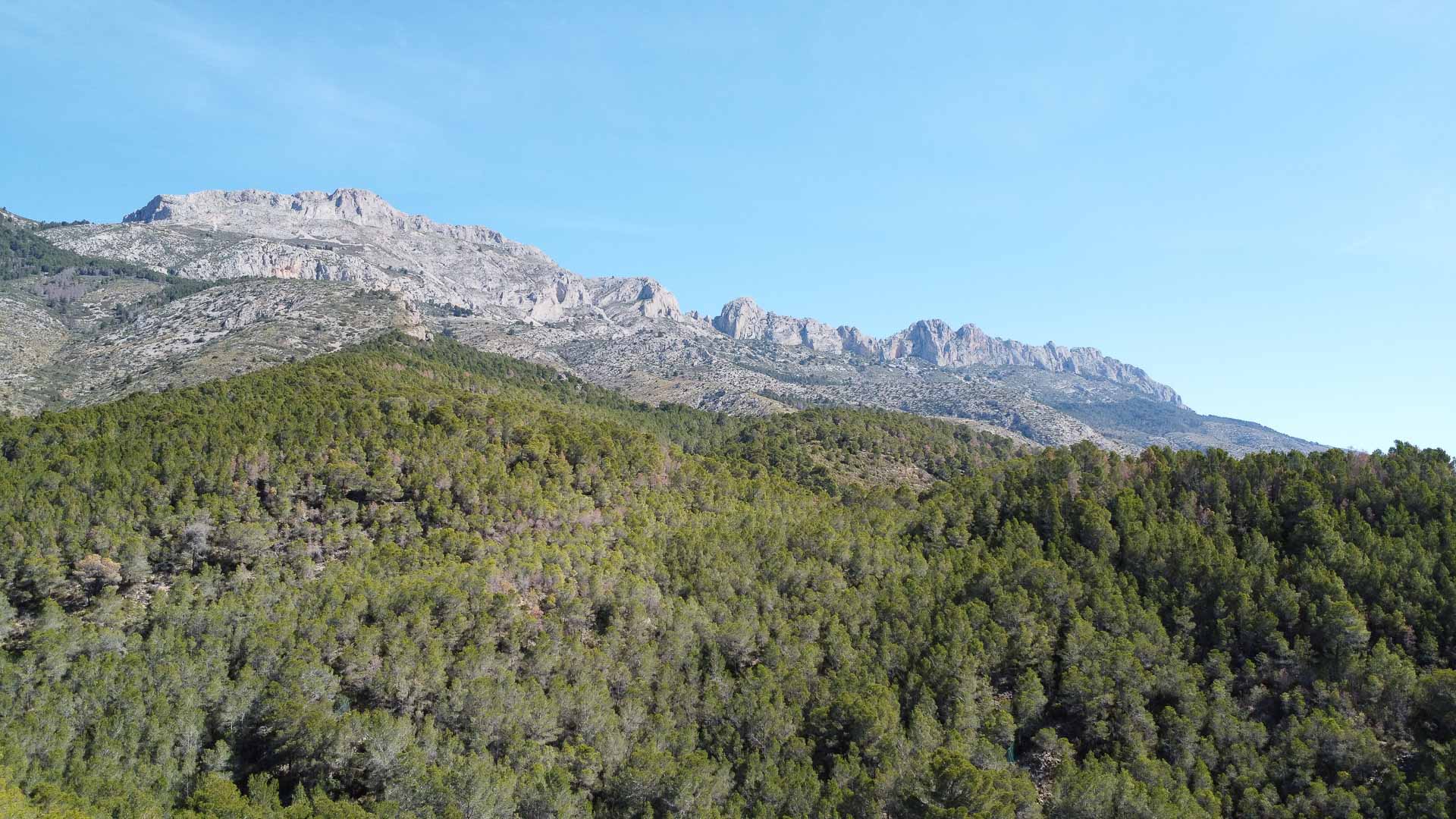 Santa Clara