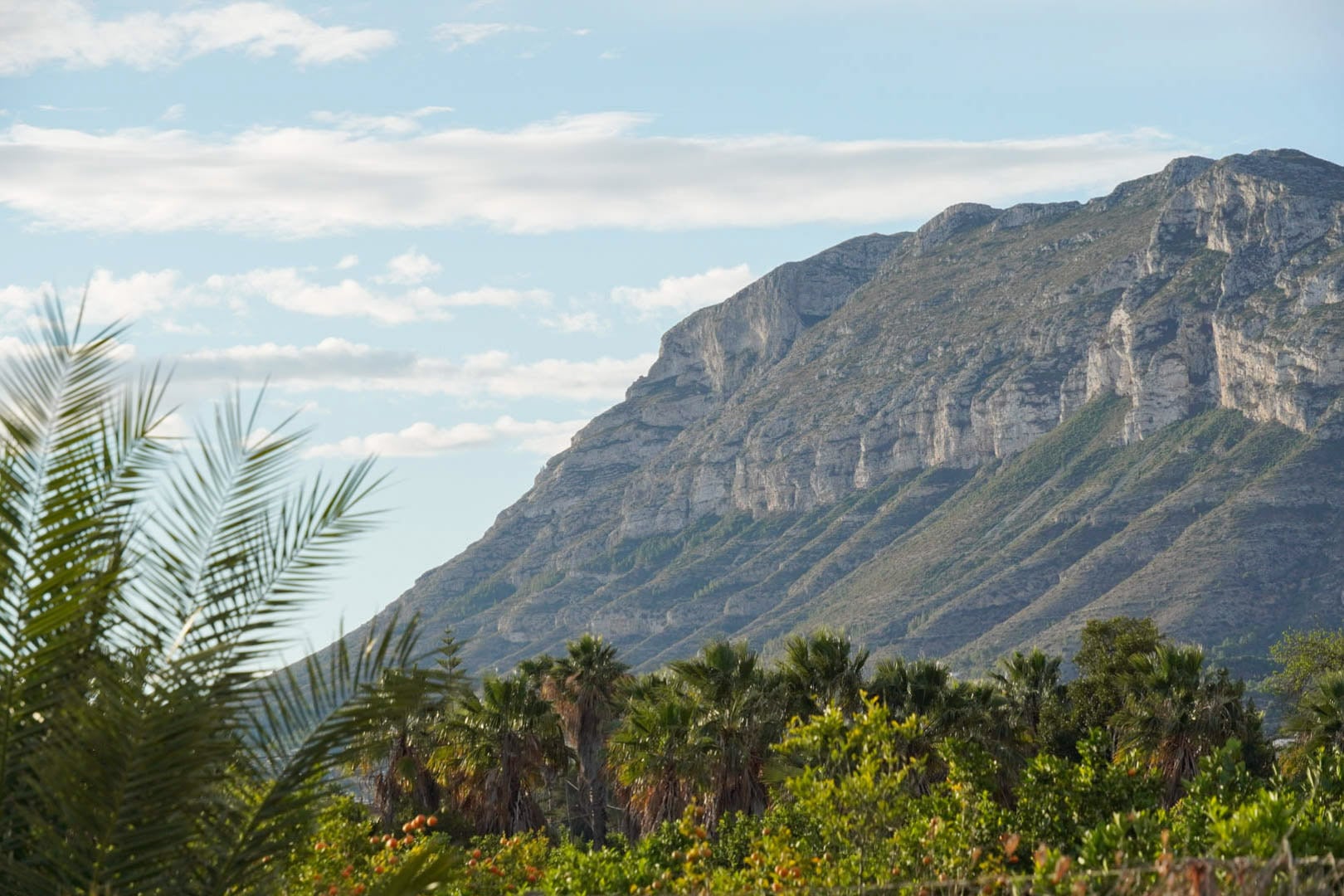 Denia