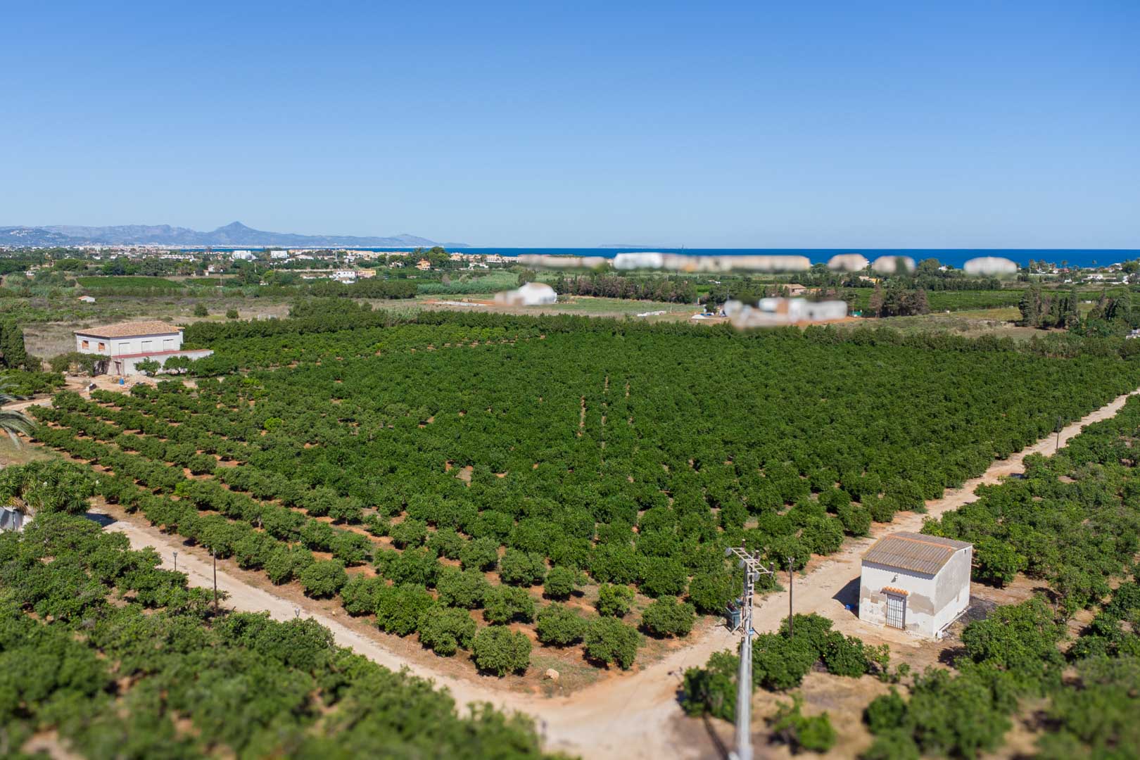 Denia