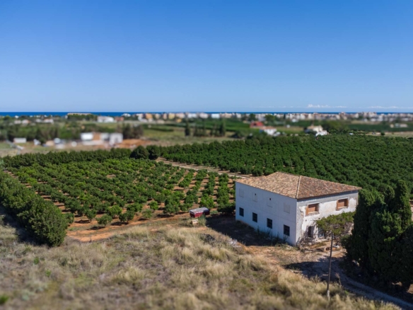 Denia