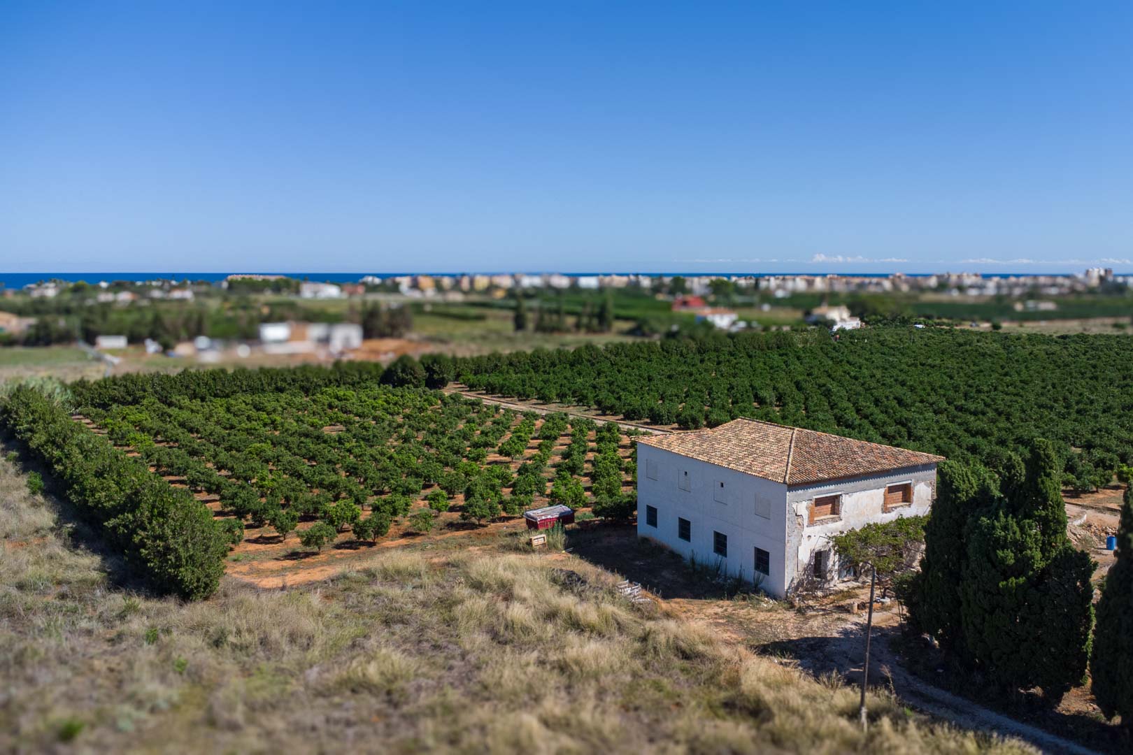 Denia