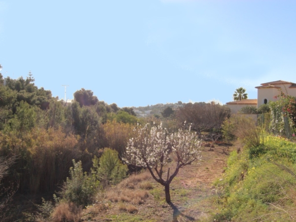 La Fustera
