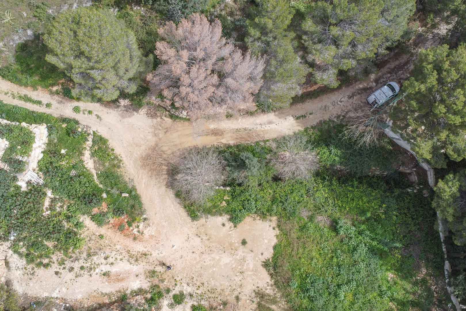 La Corona