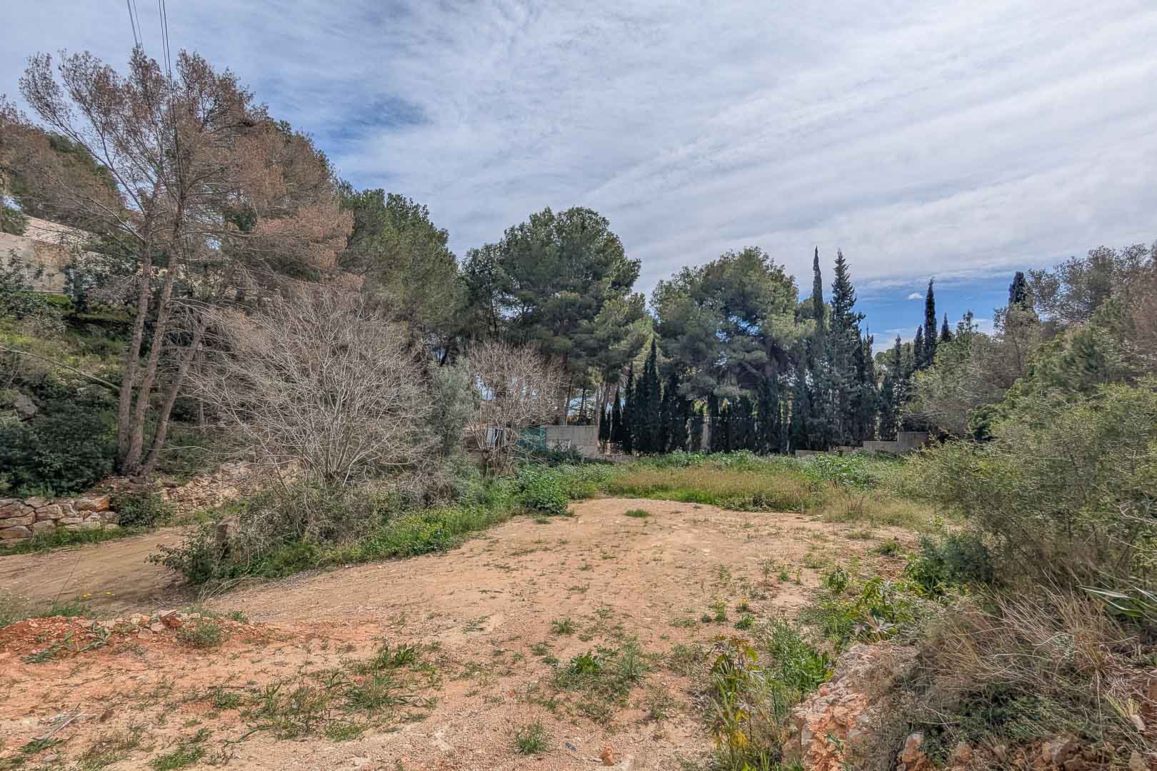 La Corona
