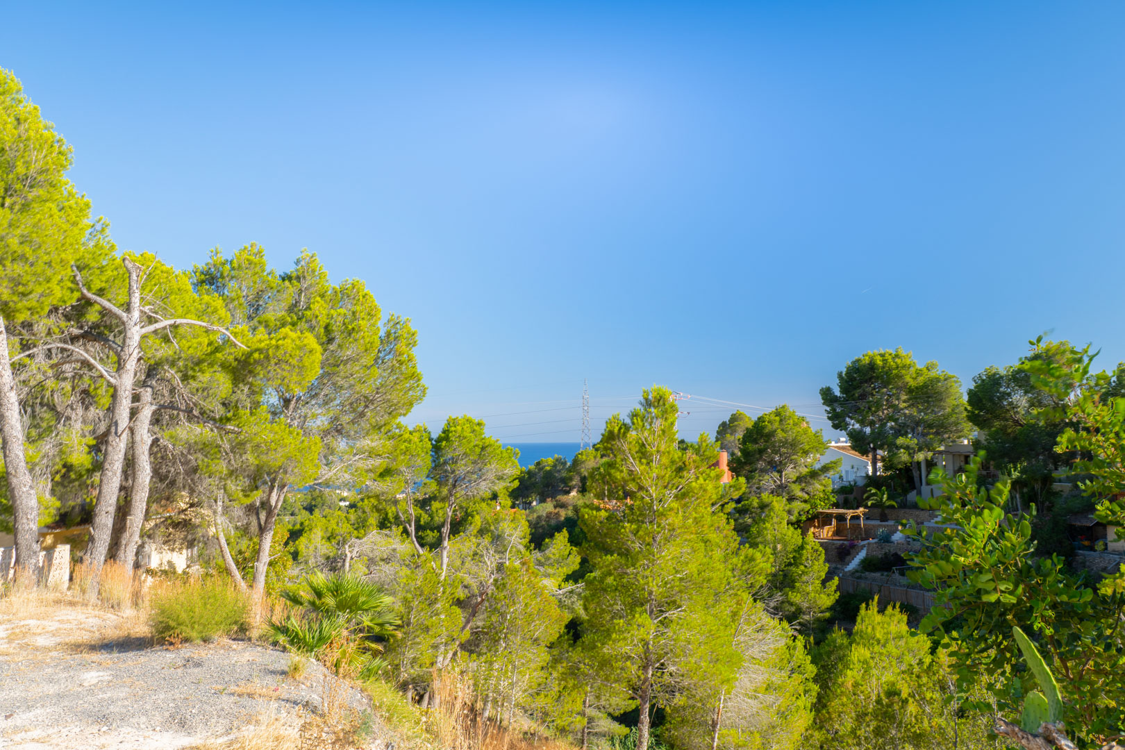 Altea