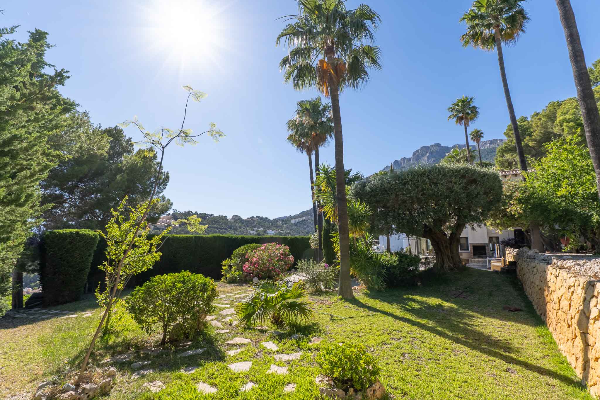 Altea