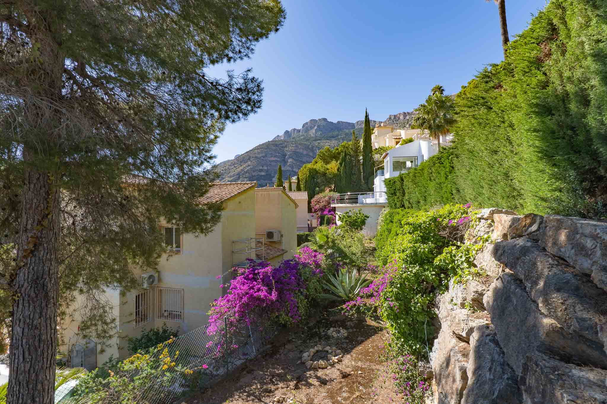 Altea
