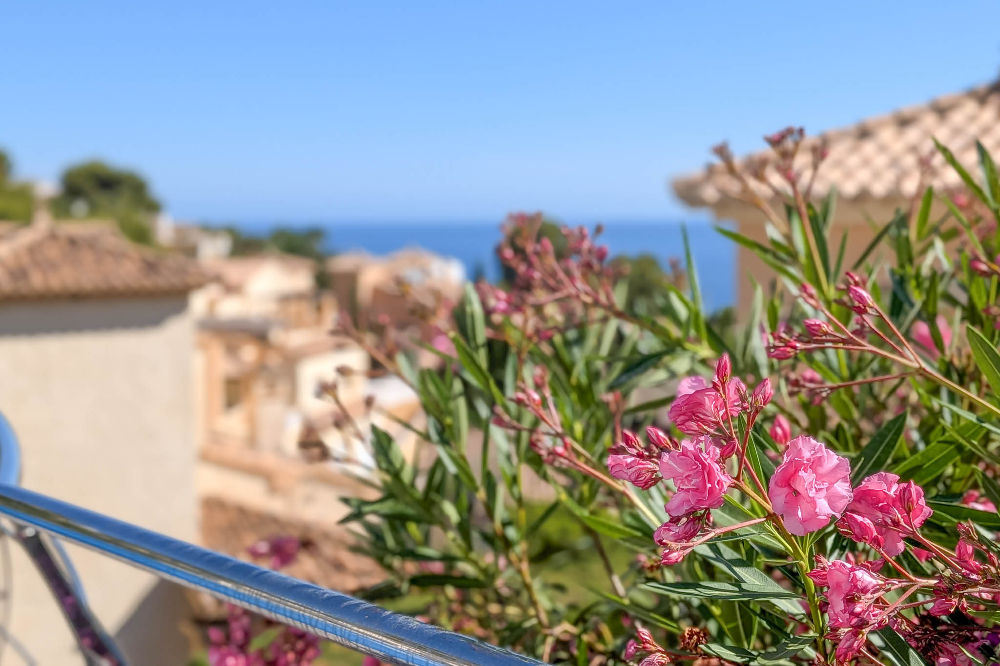Altea